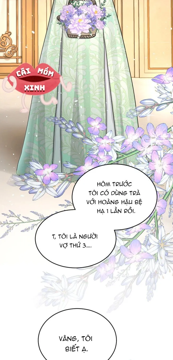 Tôi Bị Trừ Khử Cùng Hoàng Đế Chap 27 - Next Chap 28