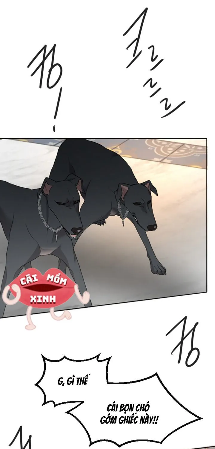 Tôi Bị Trừ Khử Cùng Hoàng Đế Chap 38 - Next Chap 39