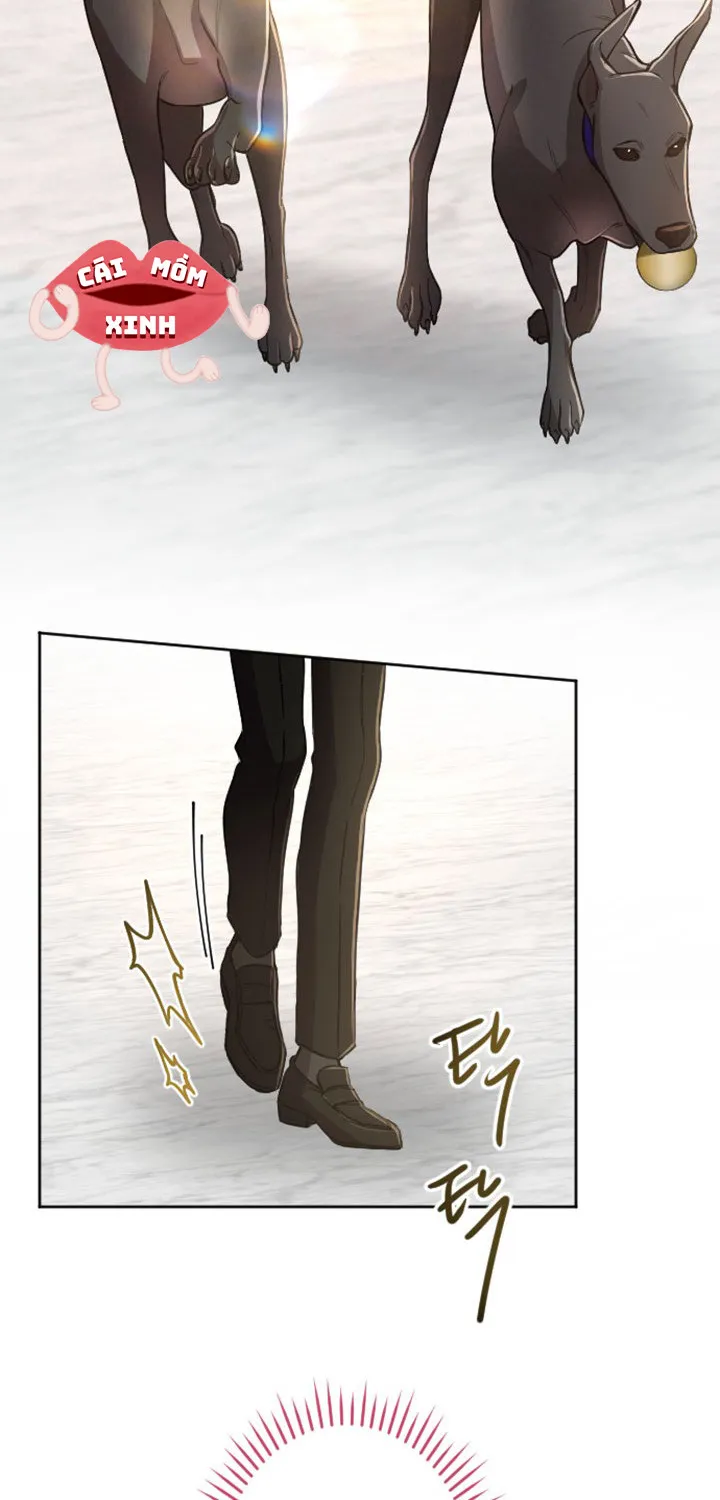 Tôi Bị Trừ Khử Cùng Hoàng Đế Chap 74 - Next Chap 75