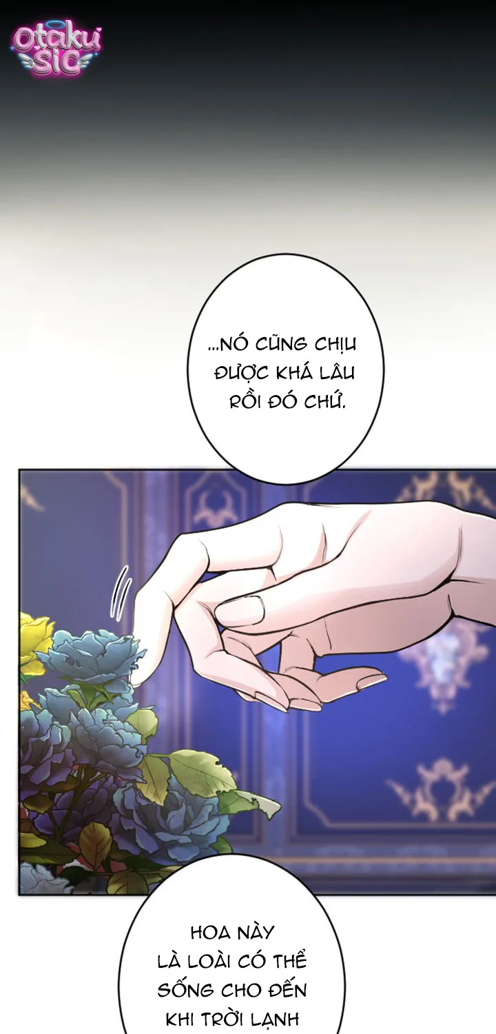 Tôi Bị Trừ Khử Cùng Hoàng Đế Chap 74 - Next Chap 75