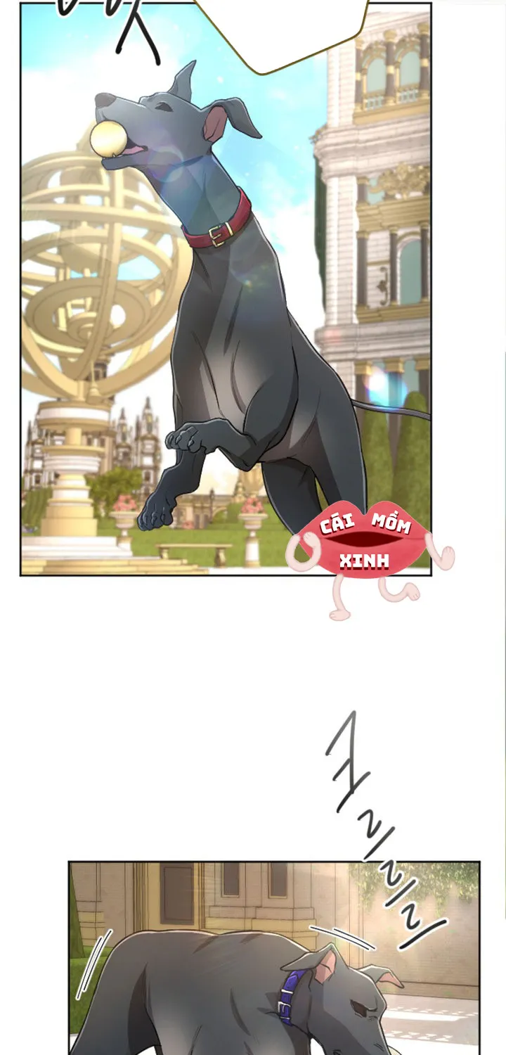 Tôi Bị Trừ Khử Cùng Hoàng Đế Chap 74 - Next Chap 75