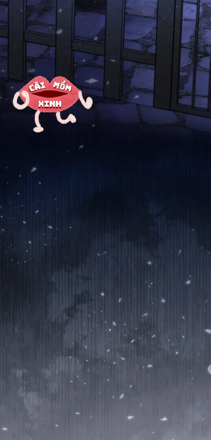 Tôi Bị Trừ Khử Cùng Hoàng Đế Chap 88 - Next Chap 89