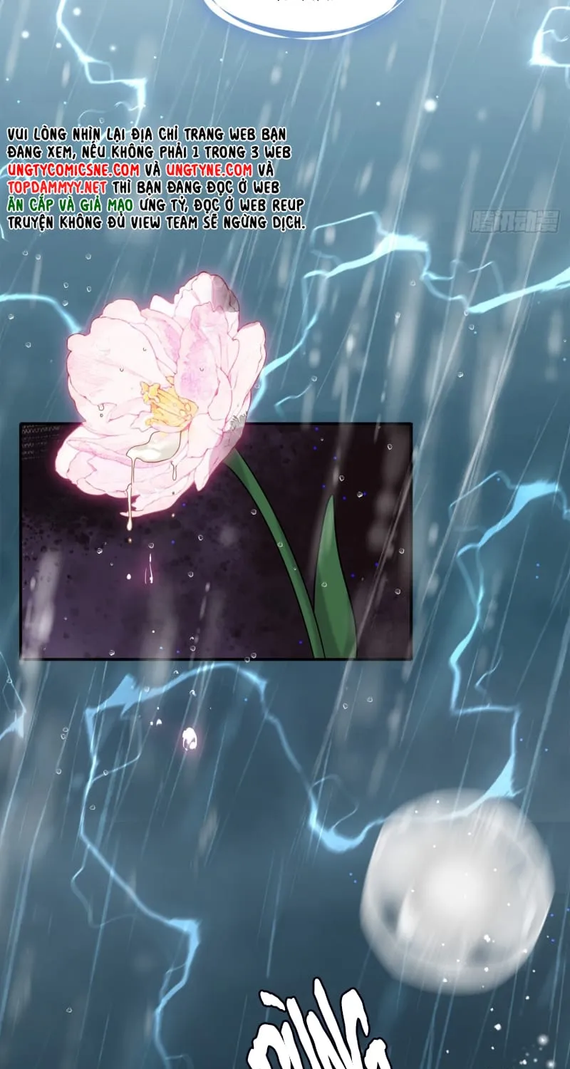 Tôi Cố Ý Giả Vờ Chap 20 - Next Chap 21