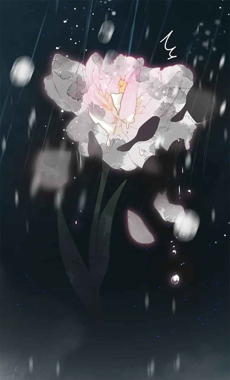 Tôi Cố Ý Giả Vờ Chap 20 - Next Chap 21