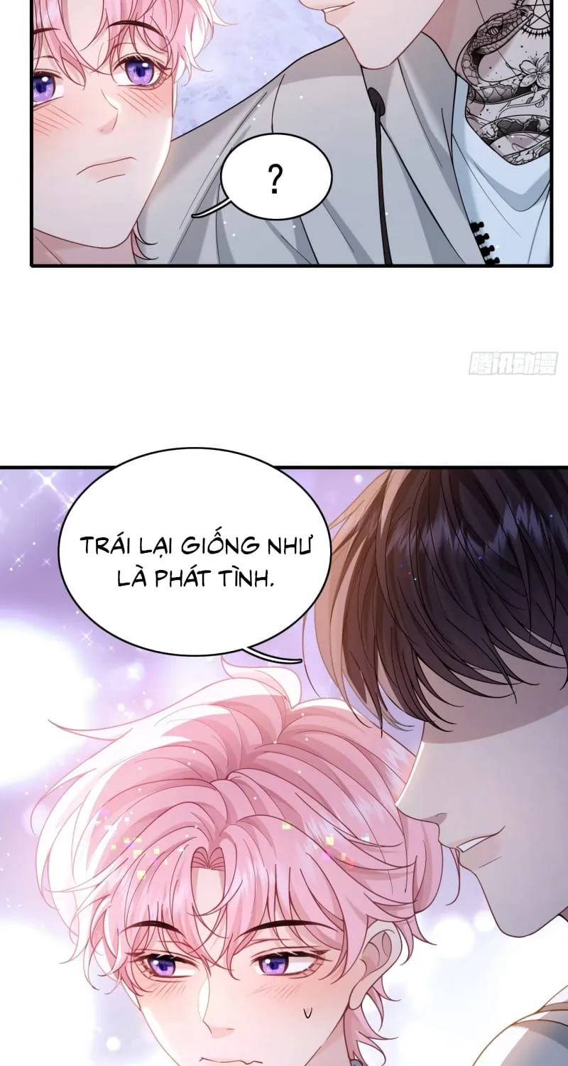 Tôi Cố Ý Giả Vờ Chap 22 - Next Chap 23