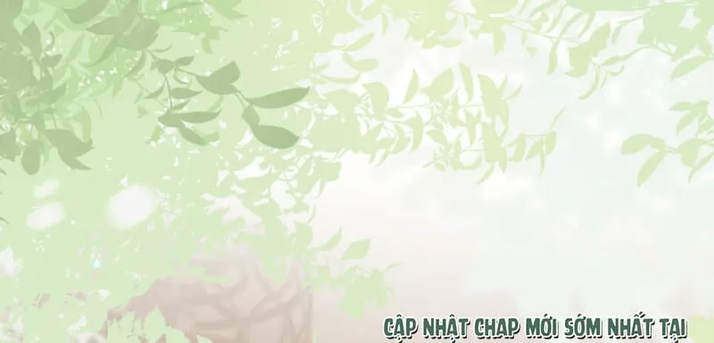 Tôi Cố Ý Giả Vờ Chap 22 - Next Chap 23