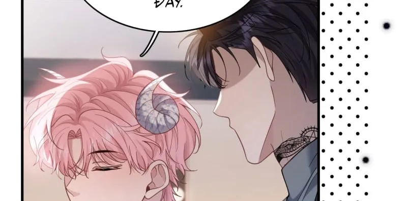 Tôi Cố Ý Giả Vờ Chap 22 - Next Chap 23