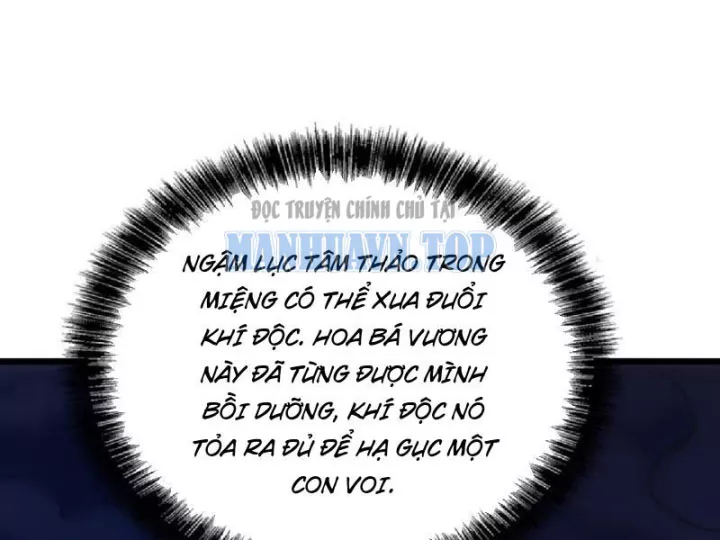 Tối Cường Khí Thiếu (Bản Mới) Chap 19 - Next Chap 20