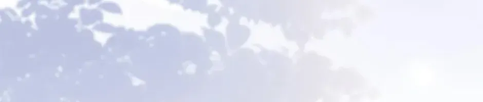 Tôi Đã Đình Công Vì Đã Đến Hạn Chót Chap 83 - Next Chap 84