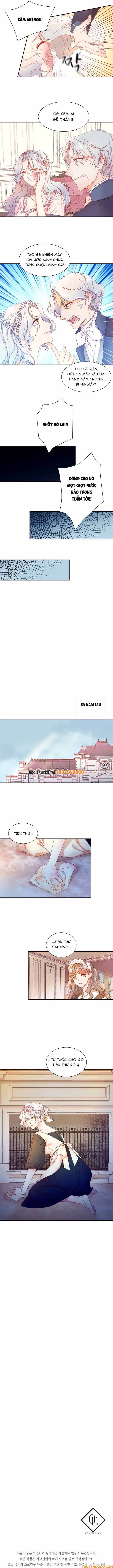 Tôi Đã Sinh Con Cho Kẻ Sát Nhân Chap 2 - Next Chap 3