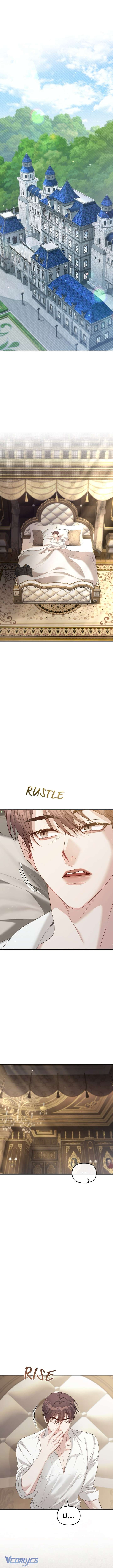 Tôi Đã Trải Qua Đêm Đầu Tiên Dù Chỉ Là Hoàng Hậu Thay Thế Chap 51 - Next Chap 52