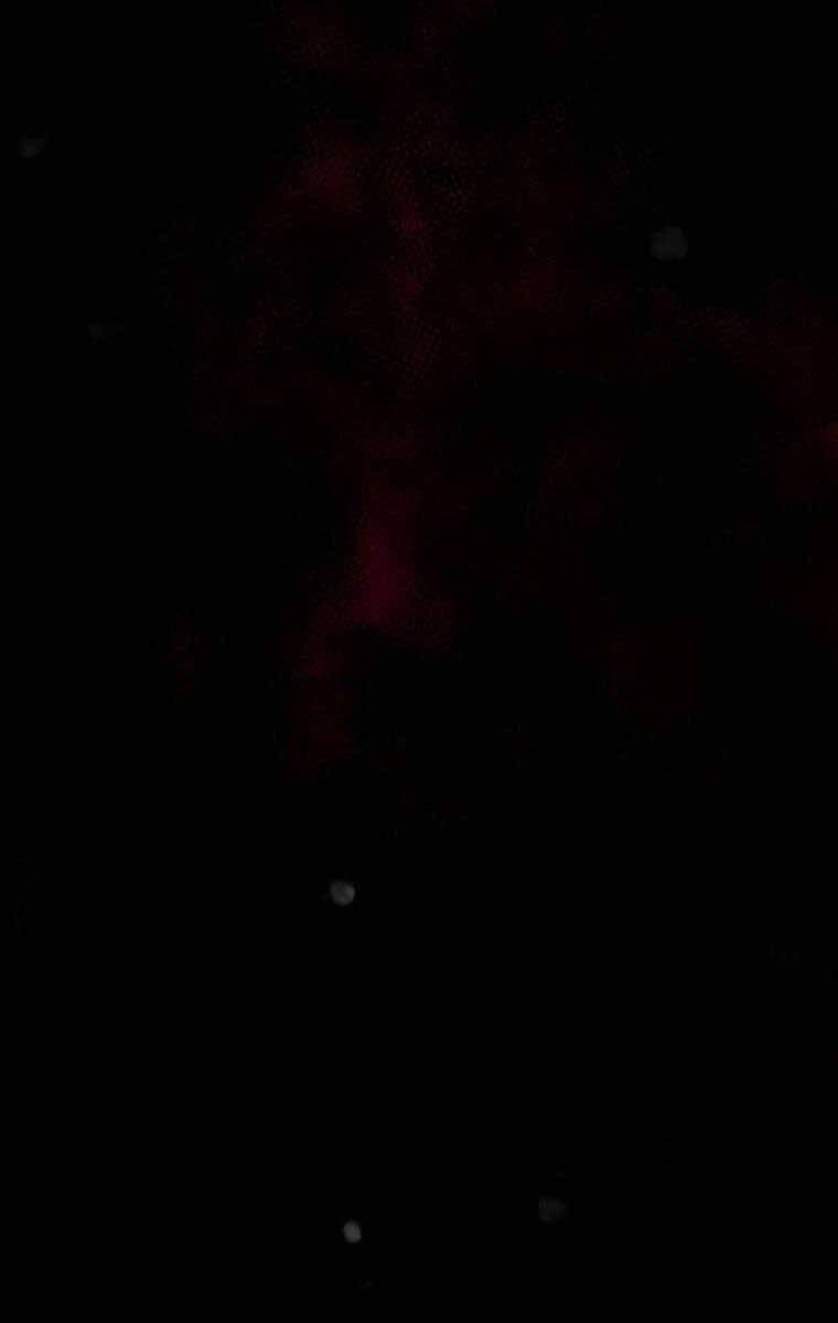 Tôi Đã Trở Thành Quái Vật Không Gian Chap 16 - Next Chap 17