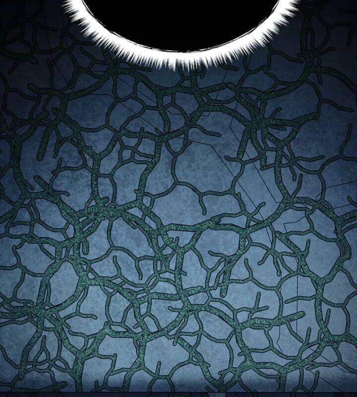 Tôi Đã Trở Thành Quái Vật Không Gian Chap 39 - Next Chap 40