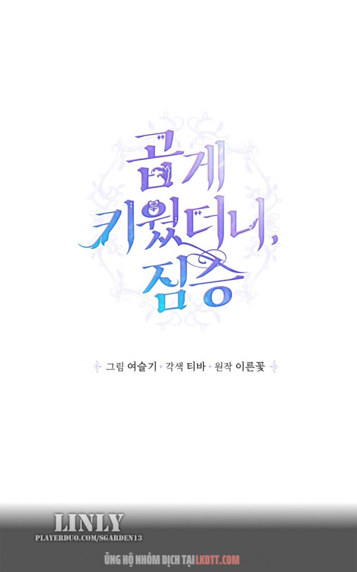 Tôi Đang Nuôi Dưỡng Một Con Quái Thú Chap 25 - Next Chap 26