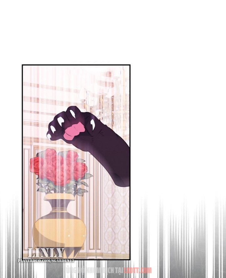 Tôi Đang Nuôi Dưỡng Một Con Quái Thú Chap 28 - Next Chap 29