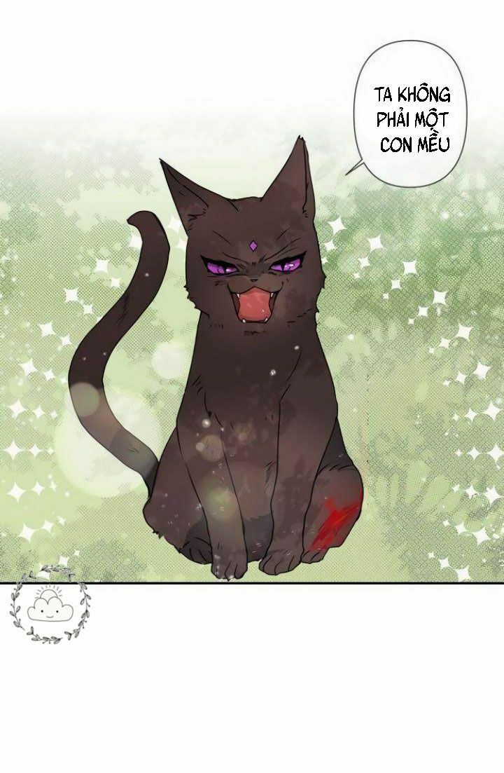 Tôi Đang Nuôi Dưỡng Một Con Quái Thú Chap 3 - Next Chap 4