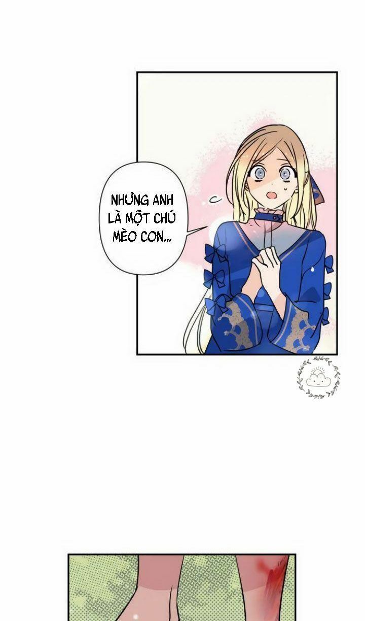 Tôi Đang Nuôi Dưỡng Một Con Quái Thú Chap 4 - Next Chap 5