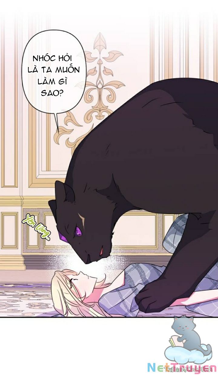 Tôi Đang Nuôi Dưỡng Một Con Quái Thú Chap 42 - Next Chap 43