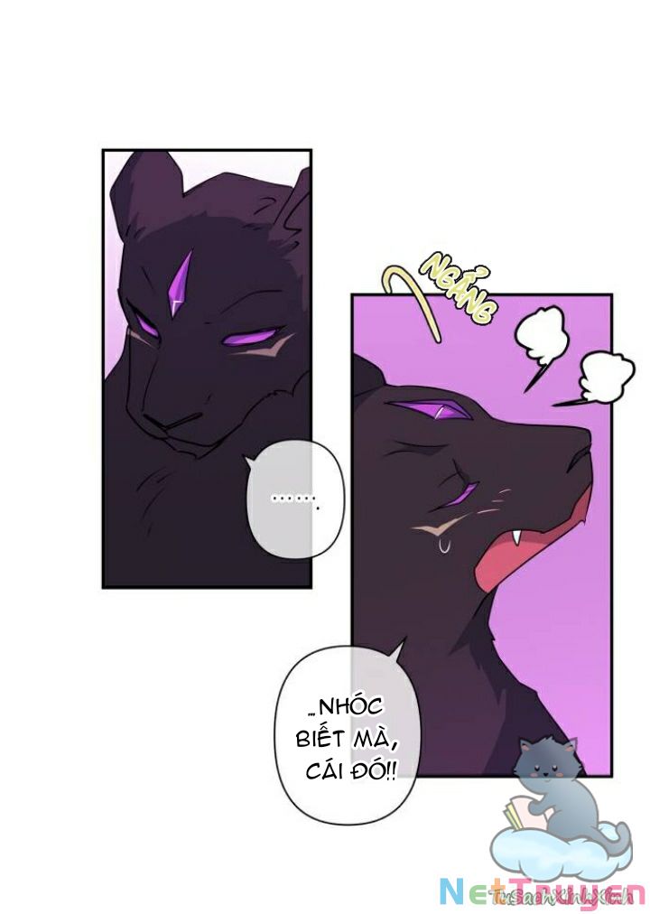 Tôi Đang Nuôi Dưỡng Một Con Quái Thú Chap 42 - Next Chap 43