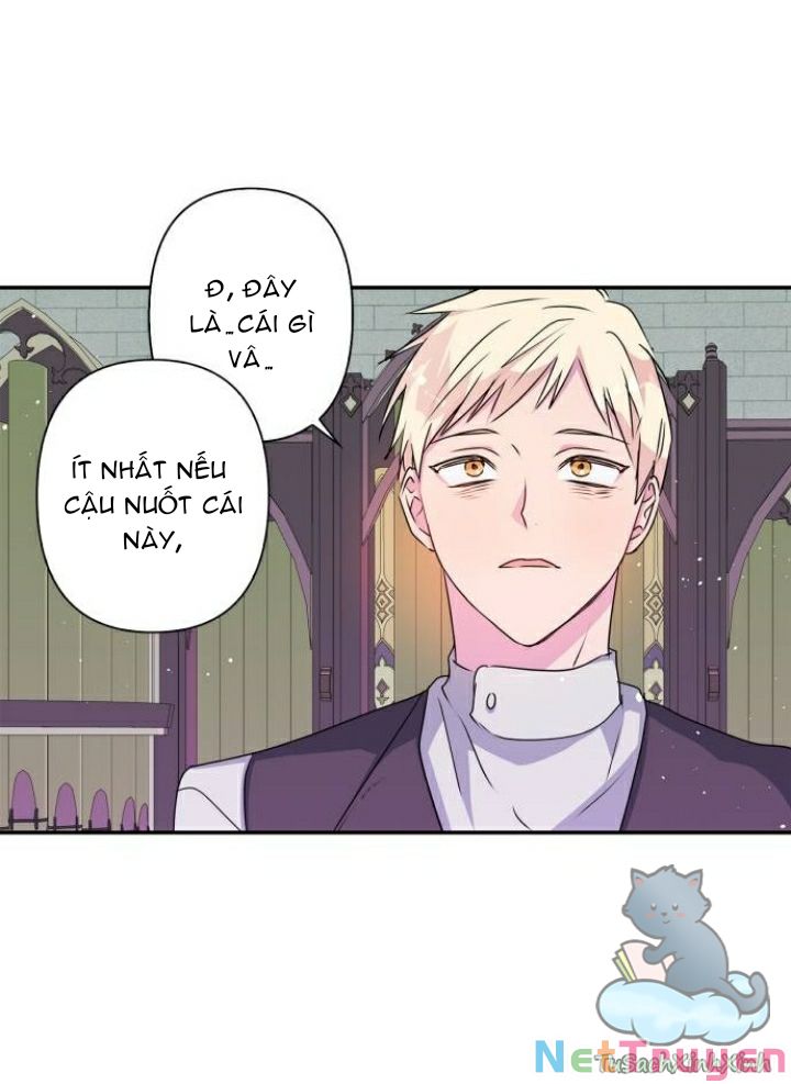 Tôi Đang Nuôi Dưỡng Một Con Quái Thú Chap 42 - Next Chap 43