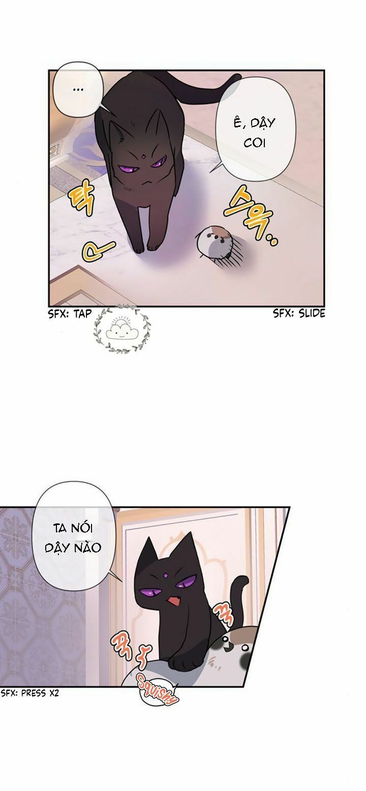 Tôi Đang Nuôi Dưỡng Một Con Quái Thú Chap 5 - Next Chap 6