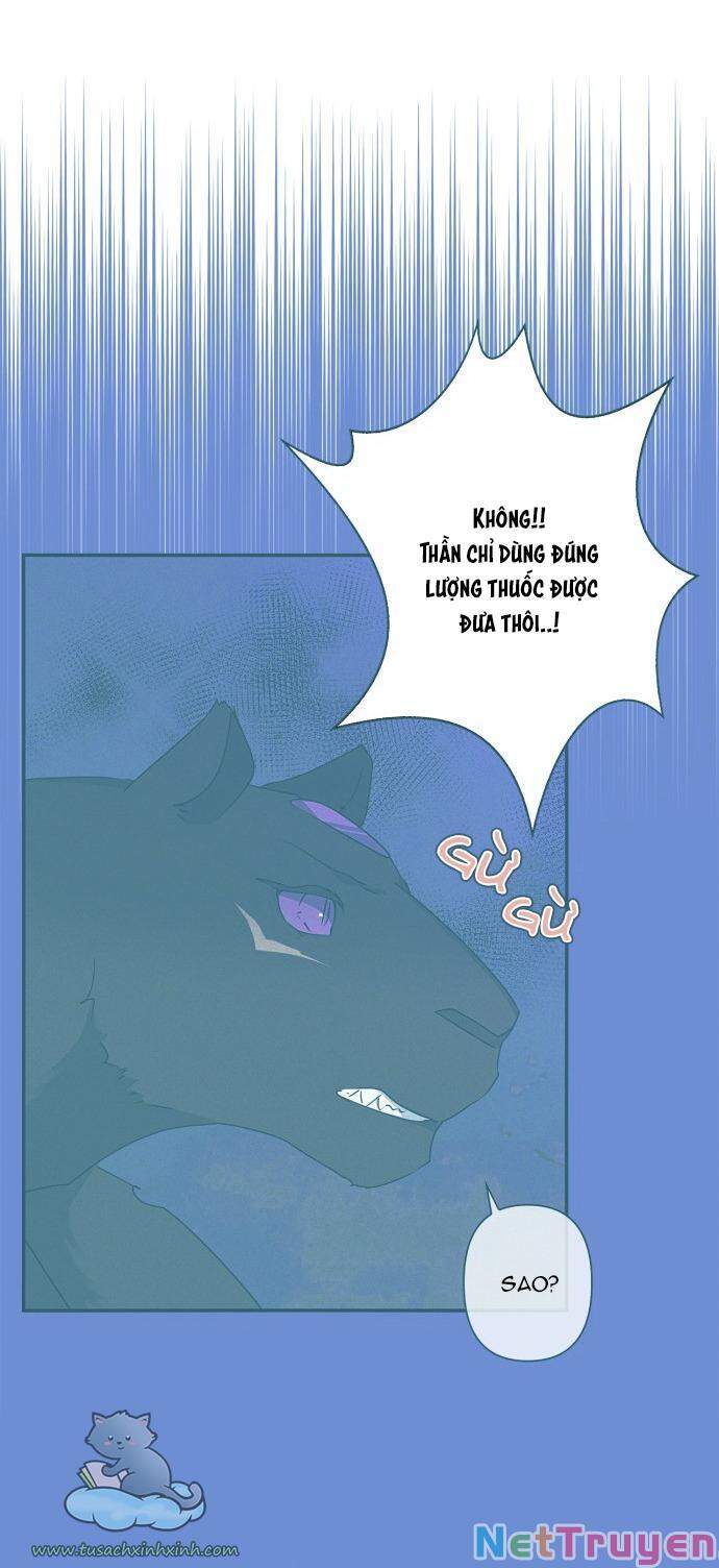 Tôi Đang Nuôi Dưỡng Một Con Quái Thú Chap 55 - Next Chap 56