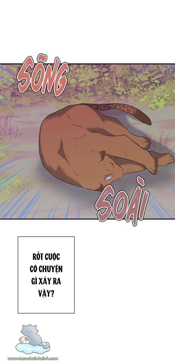 Tôi Đang Nuôi Dưỡng Một Con Quái Thú Chap 60 - Next Chap 61