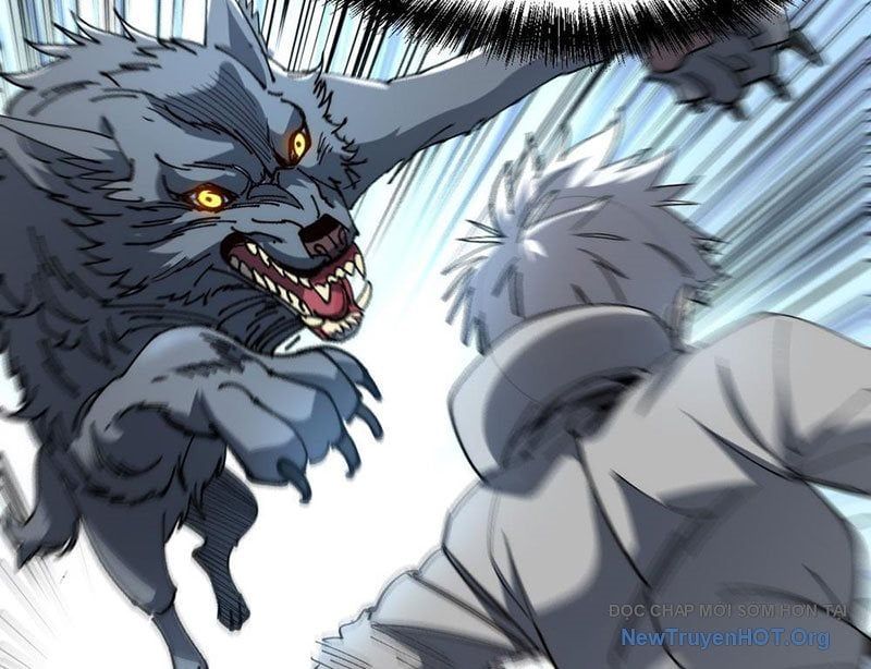 Tôi Dùng Hệ Thống Đỉnh Cấp Tái Tạo Thế Giới Chap 13 - Next Chap 14