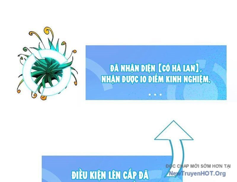 Tôi Dùng Hệ Thống Đỉnh Cấp Tái Tạo Thế Giới Chap 13 - Next Chap 14