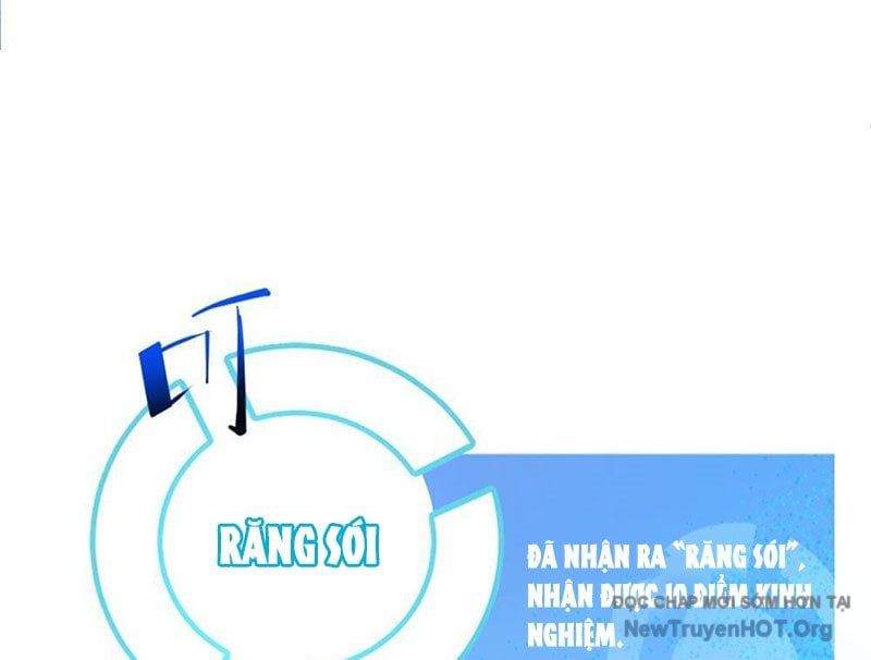 Tôi Dùng Hệ Thống Đỉnh Cấp Tái Tạo Thế Giới Chap 13 - Next Chap 14