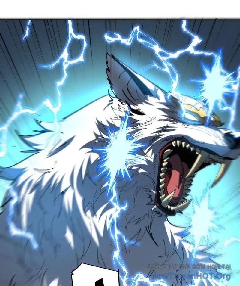 Tôi Dùng Hệ Thống Đỉnh Cấp Tái Tạo Thế Giới Chap 15 - Next Chap 16