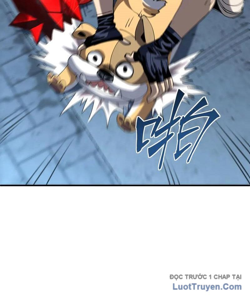 Tôi Dùng Hệ Thống Đỉnh Cấp Tái Tạo Thế Giới Chap 18 - Next Chap 19