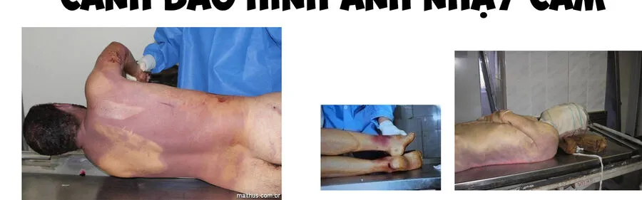 Tôi Dùng Y Học Hiện Đại Để Đối Đầu Với Ma Thuật Cổ Đại Chap 26 - Next Chap 27