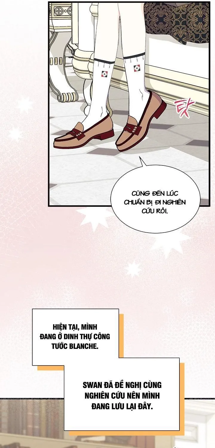 Tôi Không Muốn Làm Người Mai Mối Chap 123 - Next Chap 124