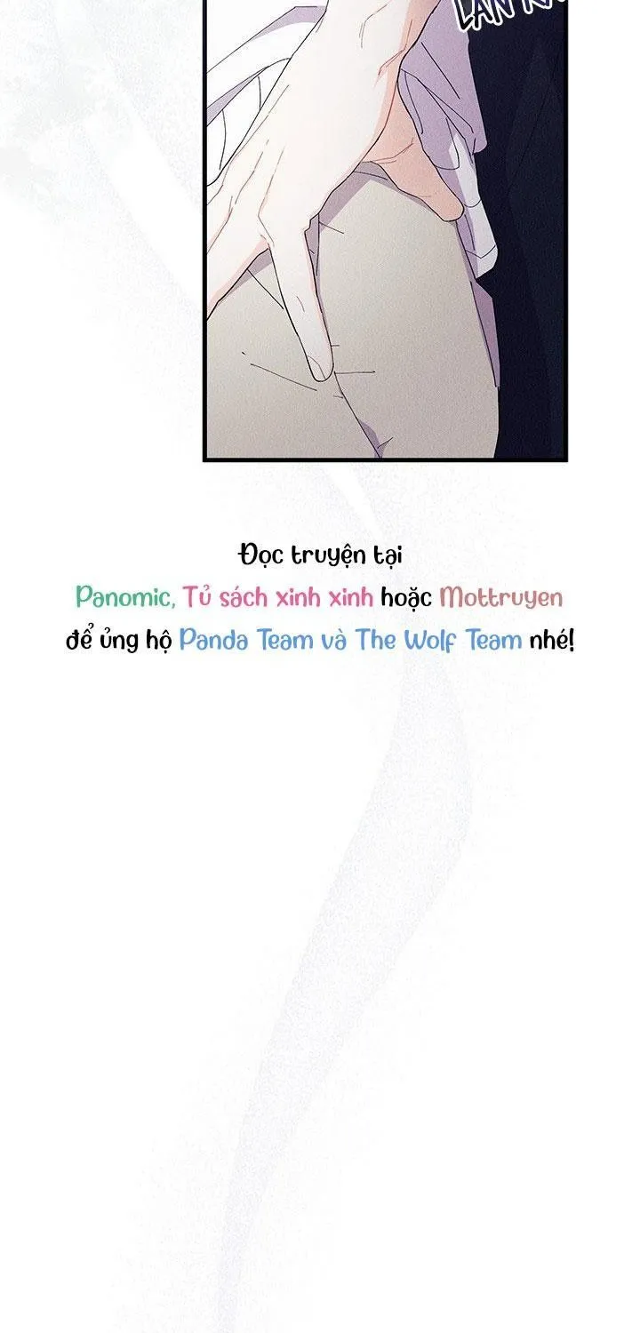 Tôi Không Muốn Làm Người Mai Mối Chap 96 - Next Chap 97