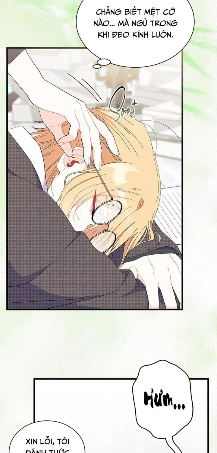 Tôi Không Muốn Làm Người Mai Mối Chap 97 - Next Chap 98