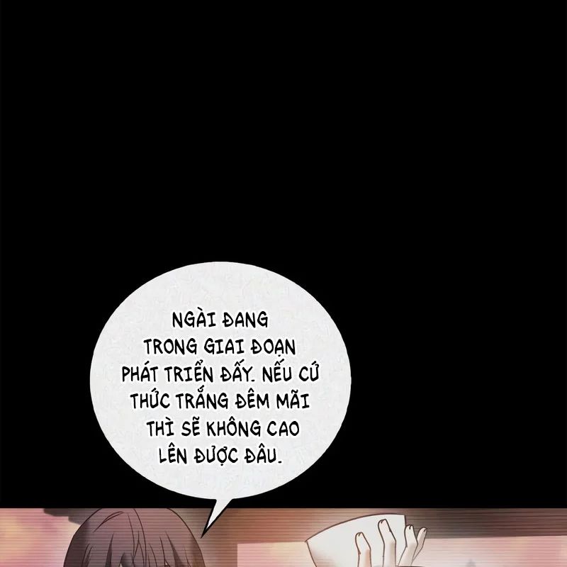 Tôi Không Tài Năng Đến Thế Đâu Chap 112 - Next Chap 113