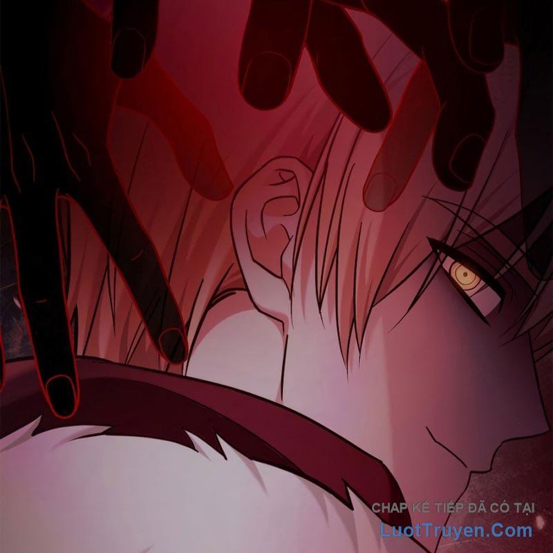 Tôi Không Tài Năng Đến Thế Đâu Chap 113 - Next Chap 114