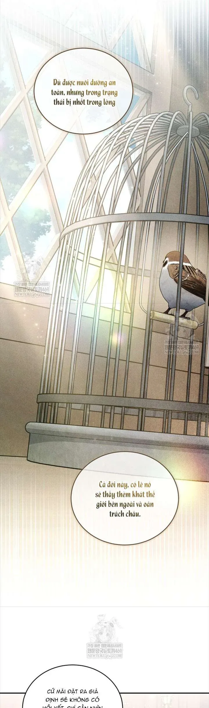 Tôi Là Người Duy Nhất Không Biết Ác Nữ Là Một Người Đàn Ông Chap 14 - Next Chap 15