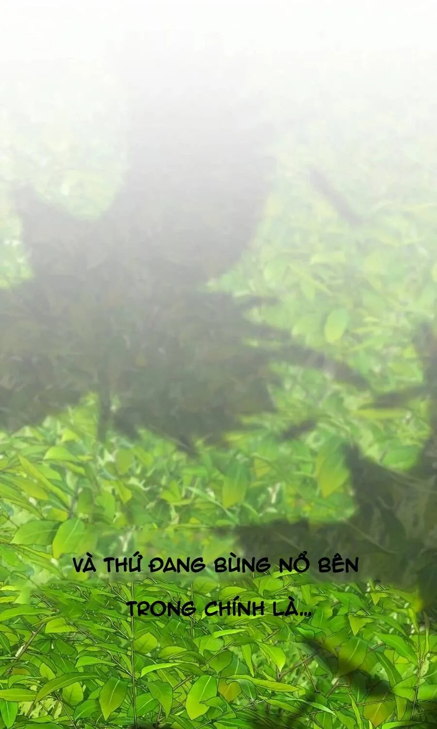 Tôi Lập Hậu Cung Khởi Đầu Từ Bán Hàng Rong Chap 20 - Next Chap 21