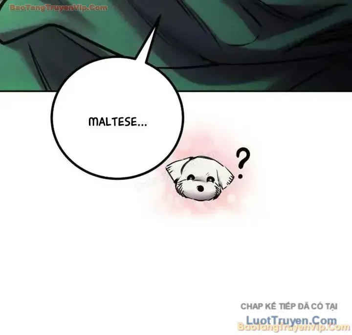 Tôi Mạnh Hơn Anh Hùng Chap 116 - Next Chap 117