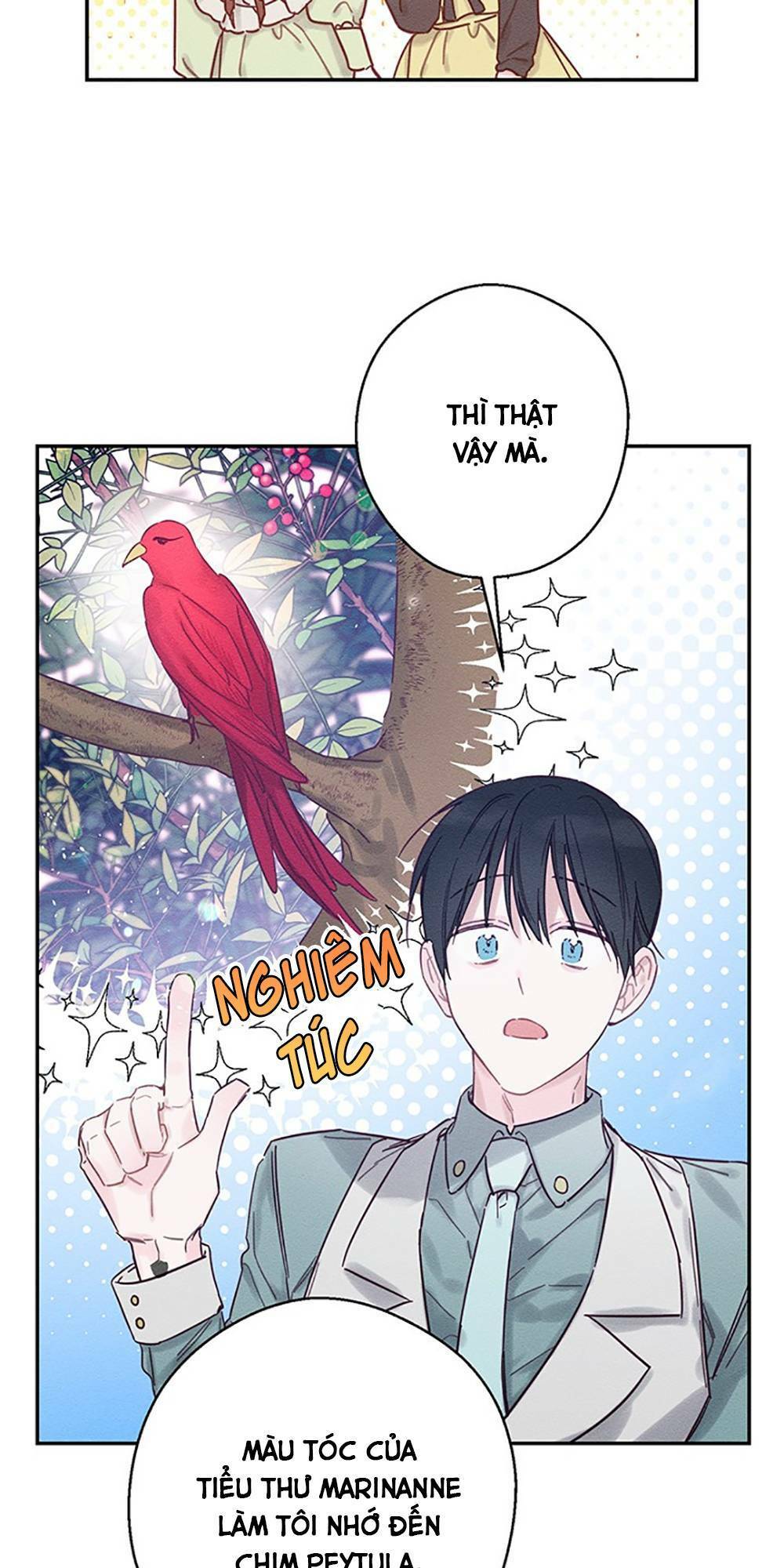 Tôi Phải Giấu Em Trai Trước Đã Chap 28 - Next Chap 29
