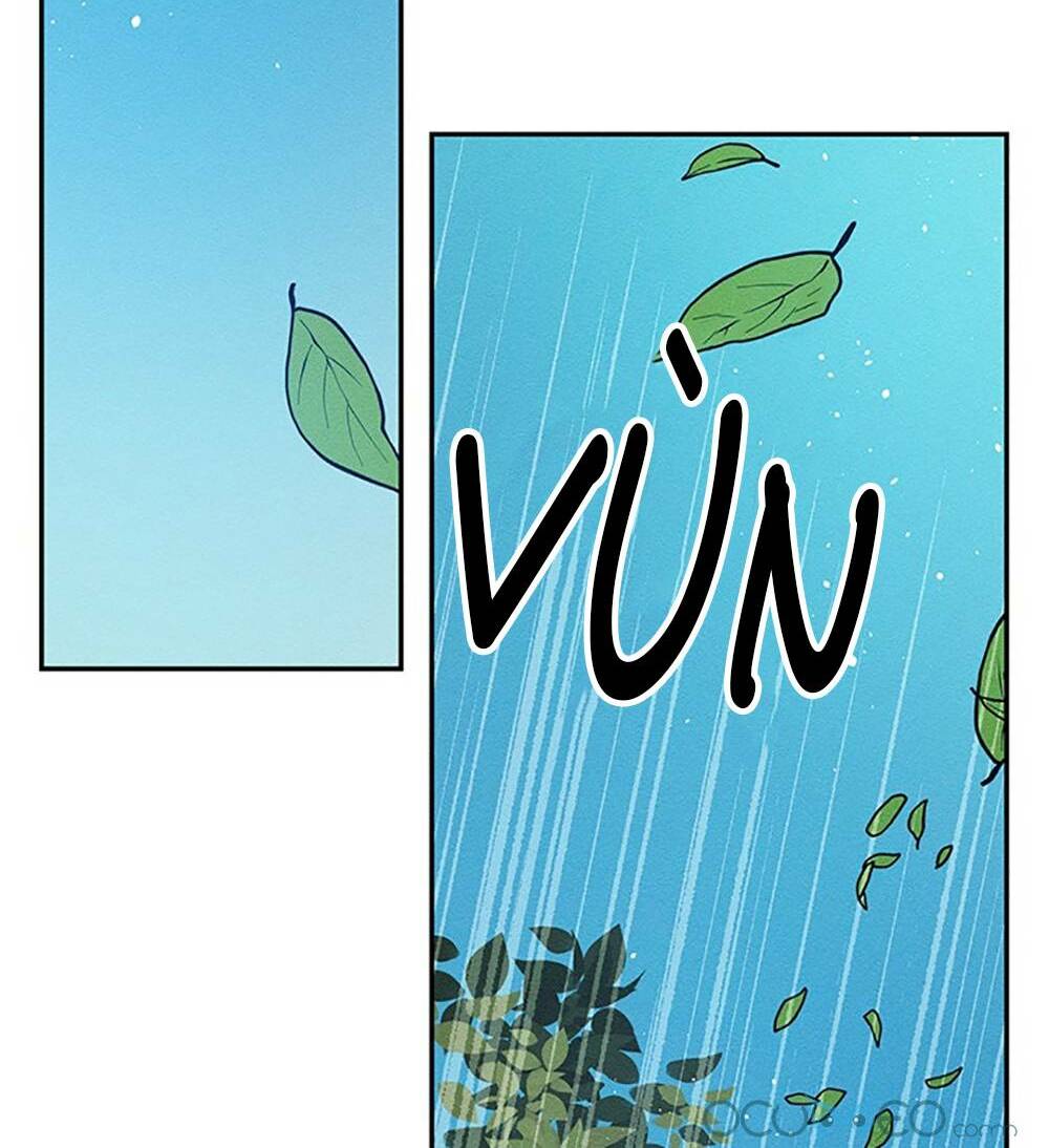 Tôi Phải Giấu Em Trai Trước Đã Chap 37 - Next Chap 38