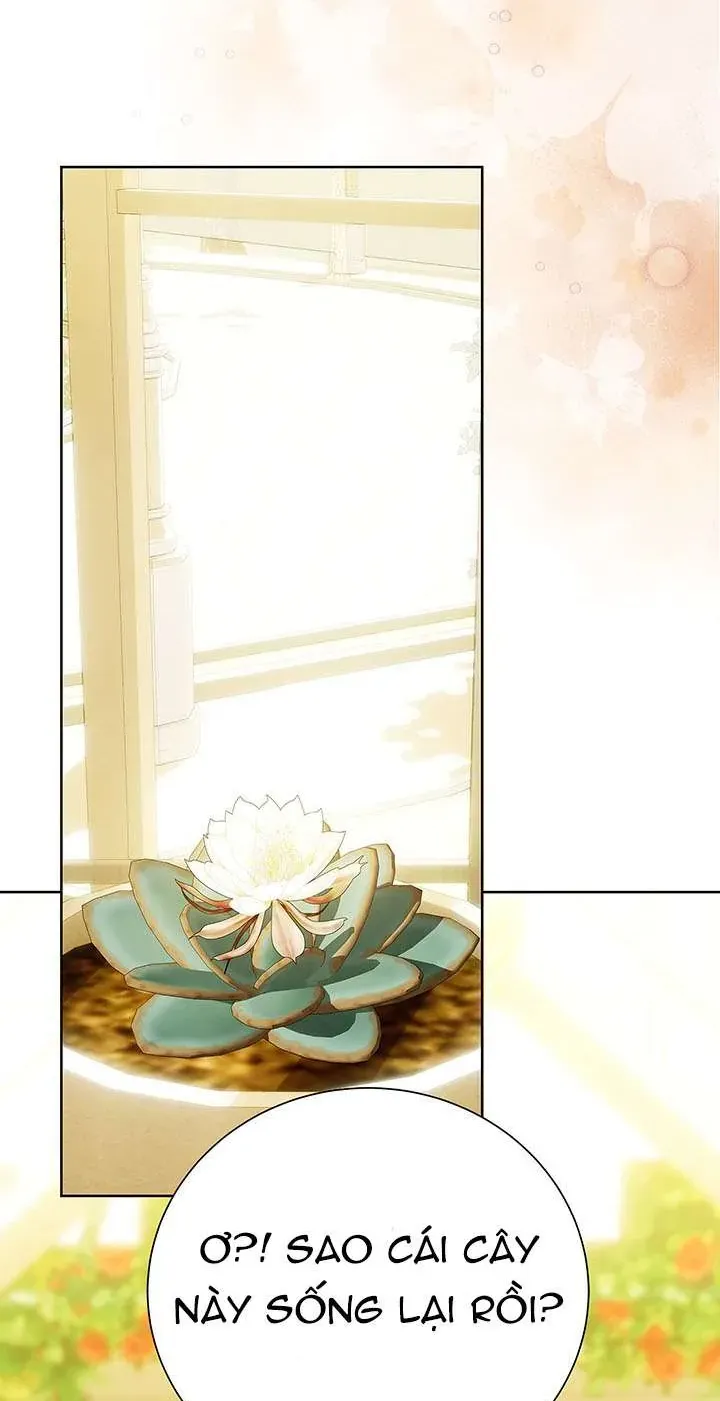 Tôi Sẽ Không Hối Tiếc Vì Anh Đâu Chap 140 - Next Chap 141