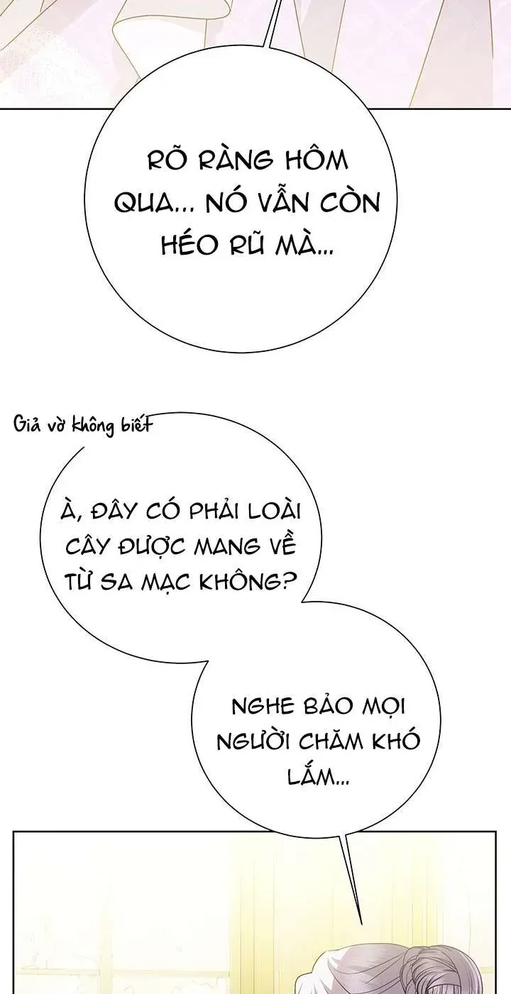Tôi Sẽ Không Hối Tiếc Vì Anh Đâu Chap 140 - Next Chap 141