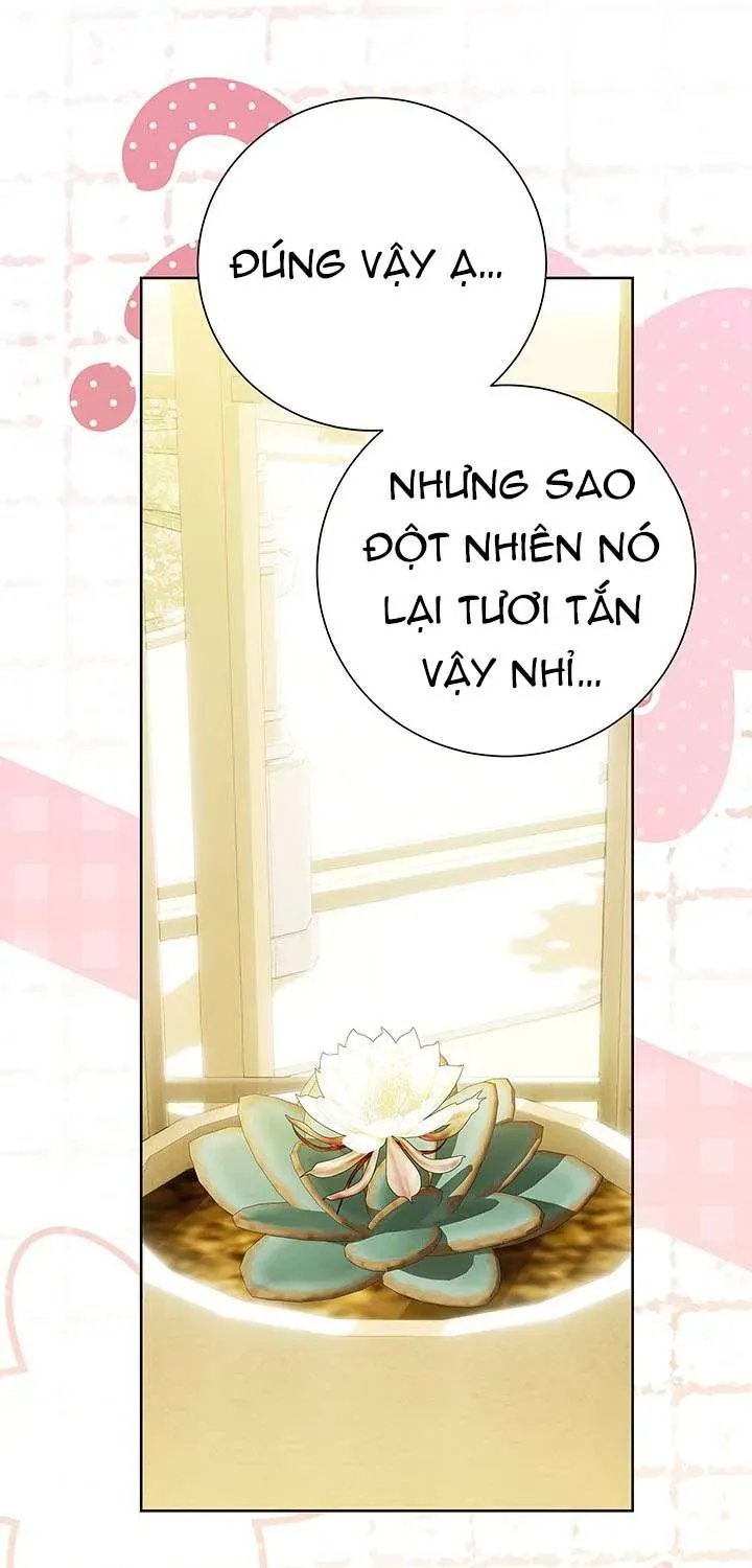 Tôi Sẽ Không Hối Tiếc Vì Anh Đâu Chap 140 - Next Chap 141
