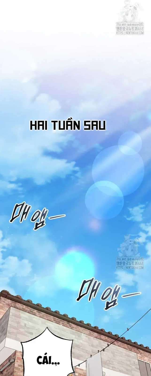 Tôi Sẽ Vực Dậy Gia Tộc Này Chap 12 - Next Chap 13