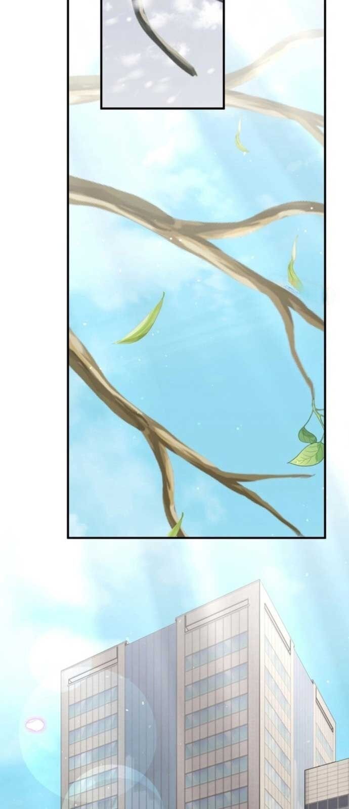 Tôi Sẽ Vực Dậy Gia Tộc Này Chap 17 - Next Chap 18