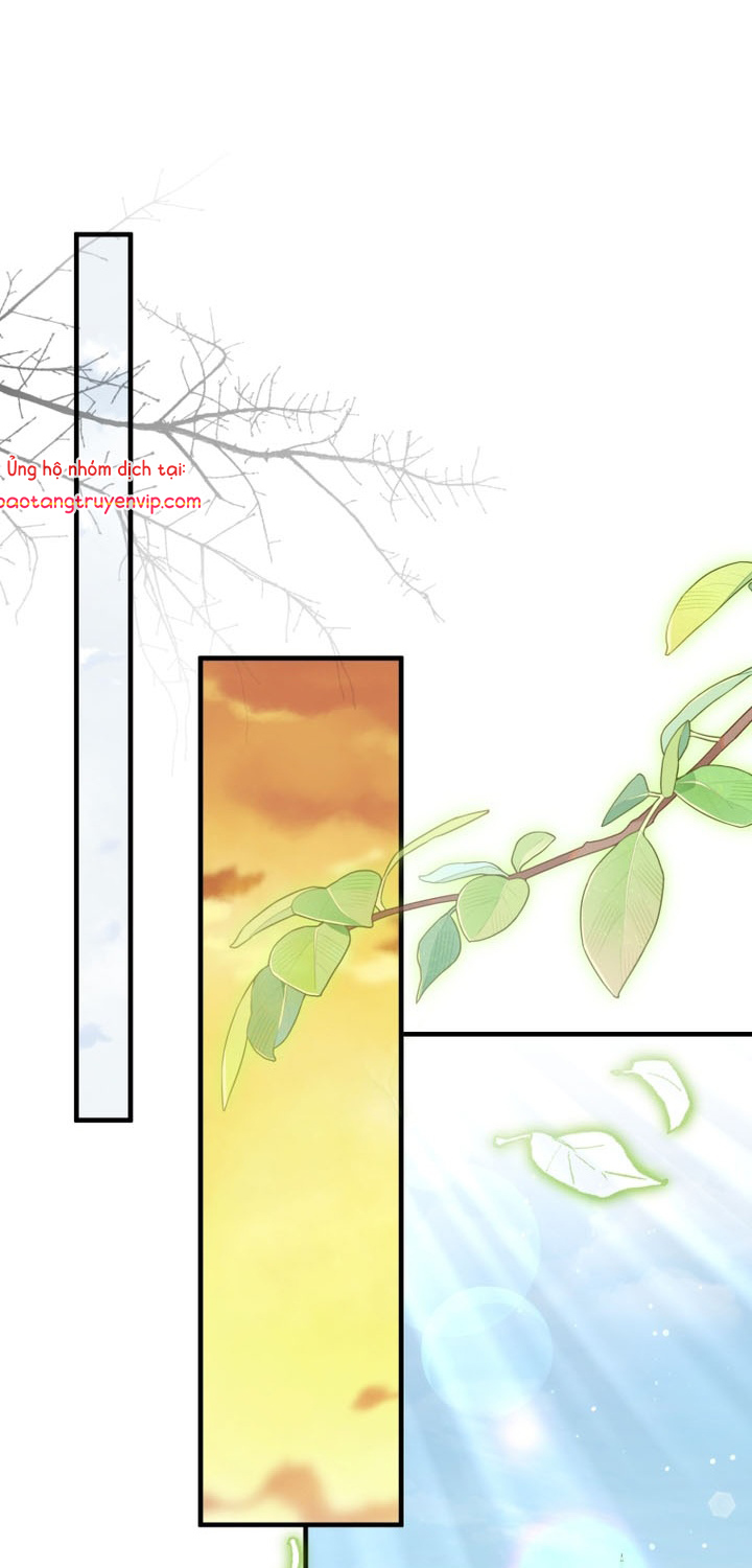 Tôi Sẽ Vực Dậy Gia Tộc Này Chap 30 - Next Chap 31