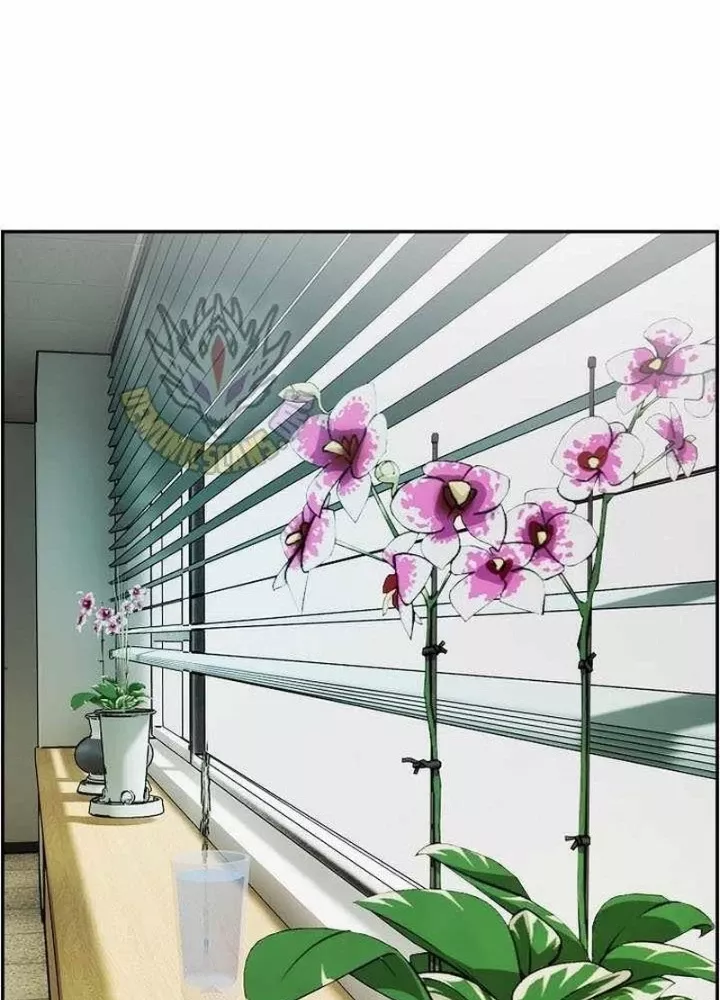 Tôi Sẽ Vực Dậy Gia Tộc Này Chap 46 - Next Chap 47